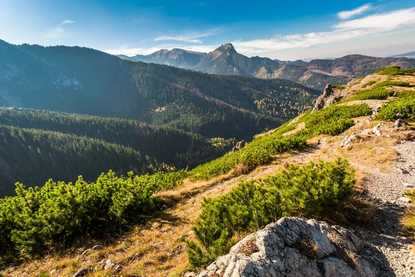 Utsikt Til Tatra Fjellene Høsten Dyreliv Polen Europa – stockfoto