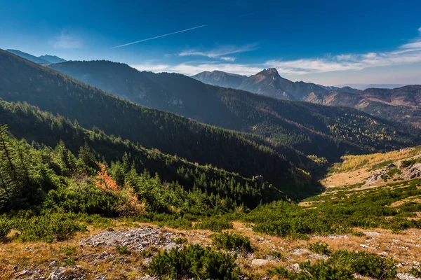 Tatrabergen Utsikt Från Åsen Hösten Polen — Stockfoto