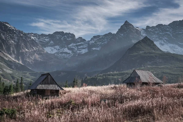 Dolina Tatrach Jesienią Dzika Przyroda Polsce Europie — Zdjęcie stockowe