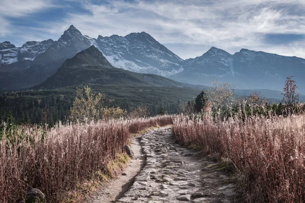 Chemin Pierreux Vers Vallée Dans Les Montagnes Tatra Pologne Faune — Photo