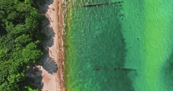 Playa Estrecha Mar Báltico Verano Polonia — Vídeo de stock