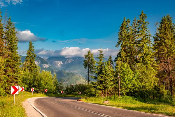 Black Road Trees Tatra Mountains Poland Europe — Stock Photo, Image