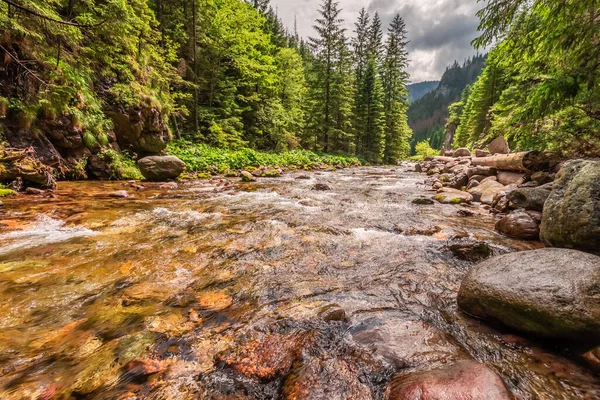 Big Rocks Mountain River Koscieliska Valley Tatras Poland Europe — Fotografia de Stock