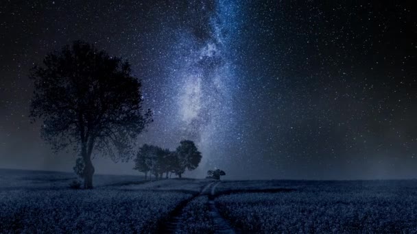 Timelapse Field Milky Way Trees Summer Night — Stockvideo