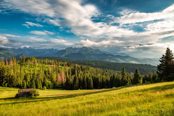 Ξύλινο Εξοχικό Σπίτι Στην Καταπράσινη Κοιλάδα Στο Tatras Στο Ηλιοβασίλεμα — Φωτογραφία Αρχείου