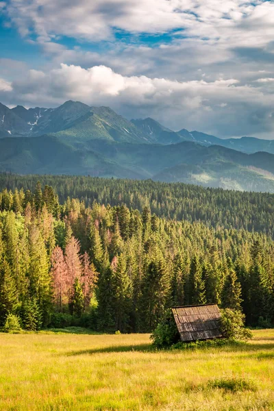 Small Wooden Cottage Green Valley Tatra Mountains Sunset Poland — Stockfoto