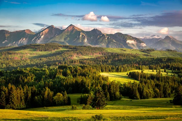 Tatra Mountains Forest Sunset Summer Poland Europe – stockfoto