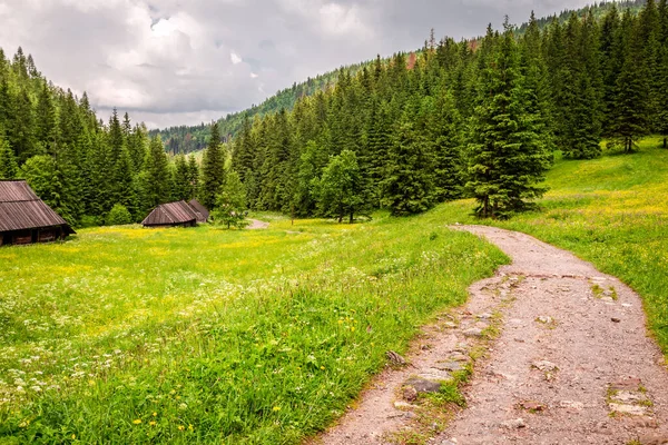 Wooden Hut Footpath Tatras Mountains Poland Europe — Stockfoto