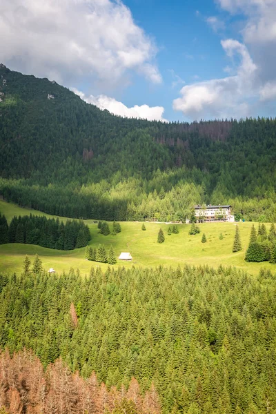 Πράσινη Κοιλάδα Στο Tatras Θέα Την Ανατολή Από Τελεφερίκ Πολωνία — Φωτογραφία Αρχείου