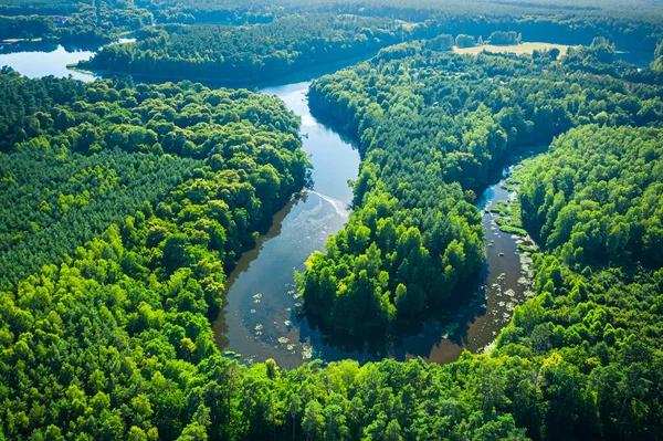 Rzeka Lasy Latem Widok Lotu Ptaka Polskę Europę — Zdjęcie stockowe