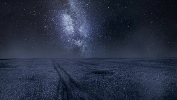 Timelapse Milky Way Falling Stars Wheat Field Summer Night Sky — Stockvideo
