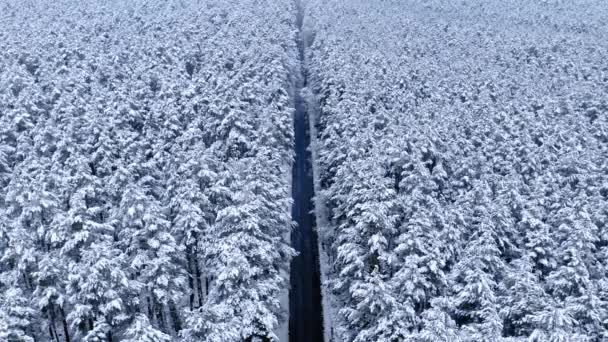 Largo Camino Bosque Nevado Viaja Través Nieve Invierno Vista Aérea — Vídeo de stock