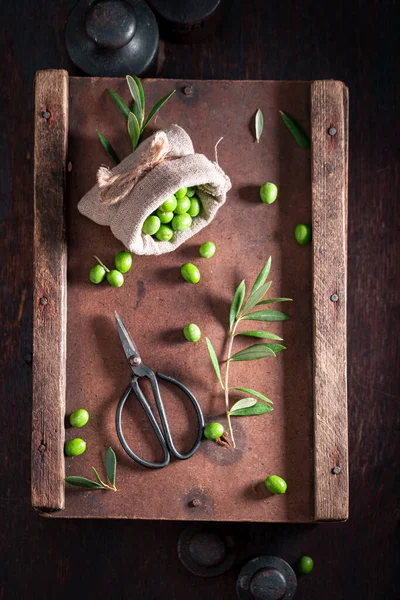 Fresh Raw Olives Branch Olive Berries Green Olives Preparation Oil — Foto Stock