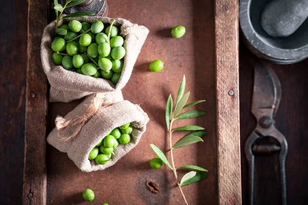 Healthy Raw Olives Freshly Picked Grove Freshly Picked Green Olives — Fotografia de Stock