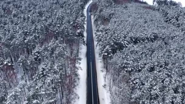 Transport Vintern Asfalterad Väg Som Leder Genom Den Vita Skogen — Stockvideo