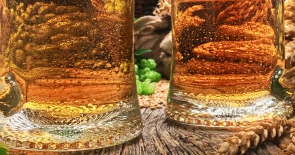 Two Mugs Cold Beer Ingredients Light Beer Hops Malt Mugs — Vídeo de Stock