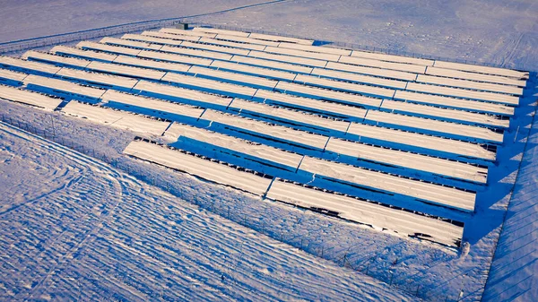 Snowy solar panels at sunrise in winter, aerial view of photovoltaic farm in winter, Europe