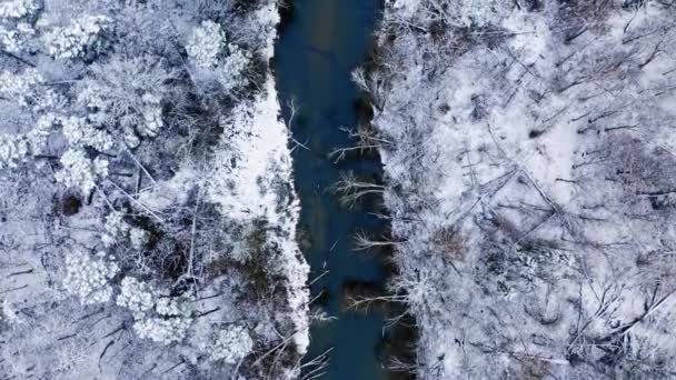 冬の川と雪の森 ポーランド ヨーロッパでの冬の空の景色 — ストック動画