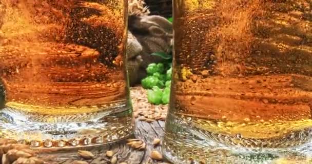 Dwa Kubki Zimnego Piwa Świeże Składniki Piwa Słód Chmiel Kubki — Wideo stockowe