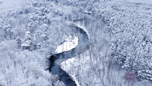Bosque Nevado Pequeño Río Invierno Vista Aérea Naturaleza Polonia Europa — Vídeos de Stock