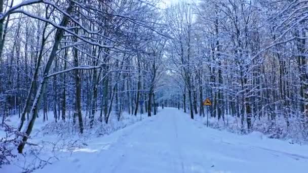 Снежная Дорога Лес Зимой Вид Воздуха Зиму Заснеженная Дорога — стоковое видео