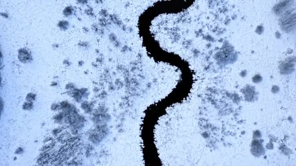 Sněžná Řeka Zimě Letecký Pohled Divokou Zvěř Polsku Evropě — Stock video