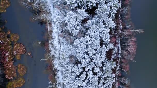 Les Řeka Zimě Letecký Pohled Přírodu Zimě Polsko Evropa — Stock video