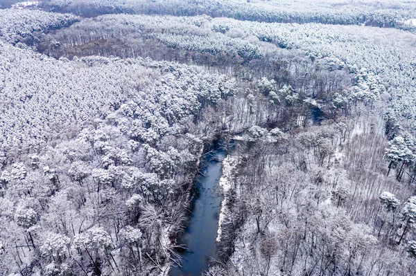 冬天的河流和雪地的森林 欧洲冬季的空中景观 — 图库照片