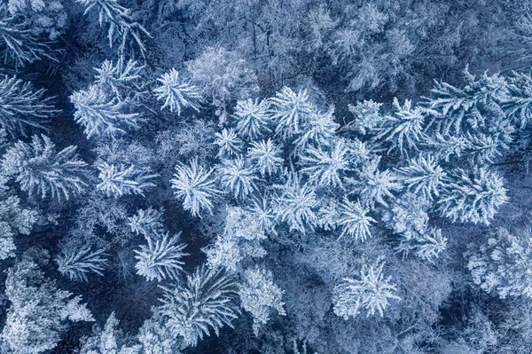 Reisen Winter Verschneite Waldstraße Winter Luftaufnahme Der Natur Polen — Stockfoto