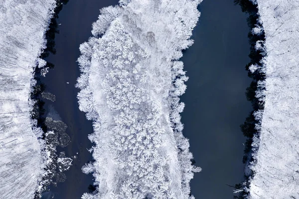 ポーランド ヨーロッパの湾曲した川と雪の森の上を飛ぶ — ストック写真