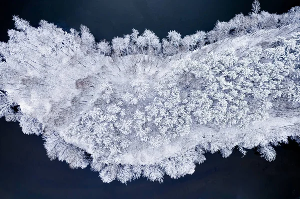Κρύο Ποτάμι Και Χιονισμένο Παγωμένο Δάσος Αεροφωτογραφία Του Χειμώνα Στην — Φωτογραφία Αρχείου