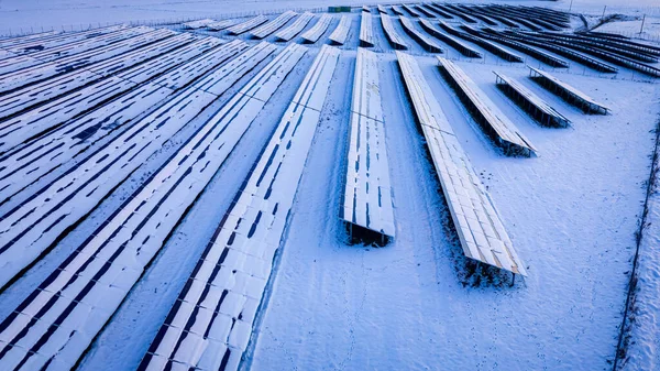 Photovoltaik Farm Winter Luftaufnahme Der Alternativen Energien Polen — Stockfoto