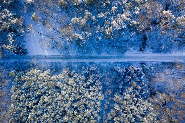 冬季运输 冬天雪地的道路和森林 雪地运输 — 图库照片
