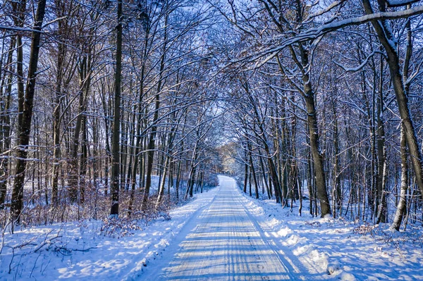 Kışın Karlı Yol Orman Kışın Havadan Görünüşü Karla Kaplı Yol — Stok fotoğraf