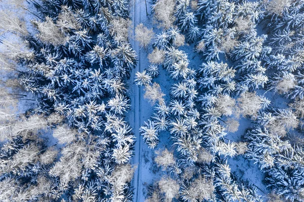 Χιονισμένο Δρόμο Στο Χειμερινό Δάσος Μεταφορά Χειμώνα Αεροφωτογραφία Της Φύσης — Φωτογραφία Αρχείου