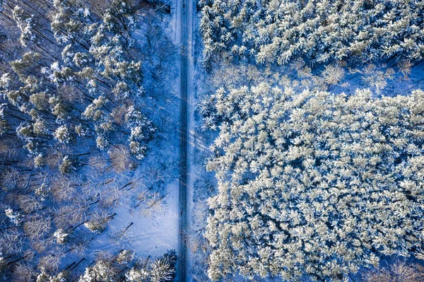 Χιονισμένο Δάσος Και Ποτάμι Χειμώνα Αεροφωτογραφία Του Χειμώνα Στην Πολωνία — Φωτογραφία Αρχείου