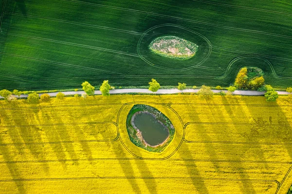 Зверху Поля Зору Пшениці Зґвалтування Польщі Сільське Господарство Польщі — стокове фото