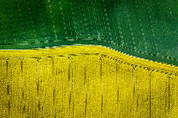 Top View Green Yellow Field Countryside Aerial View Agriculture Poland — Stock Fotó