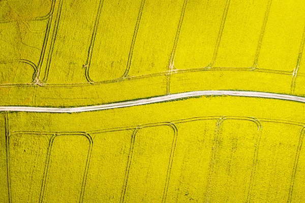 Stort Blommande Gult Rapsfält Och Landsväg Polen Flygfoto Jordbruket Polen — Stockfoto