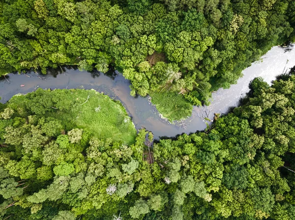 Aerial View Kayaking River Wildlife Poland Aerial View Poland Europe —  Fotos de Stock