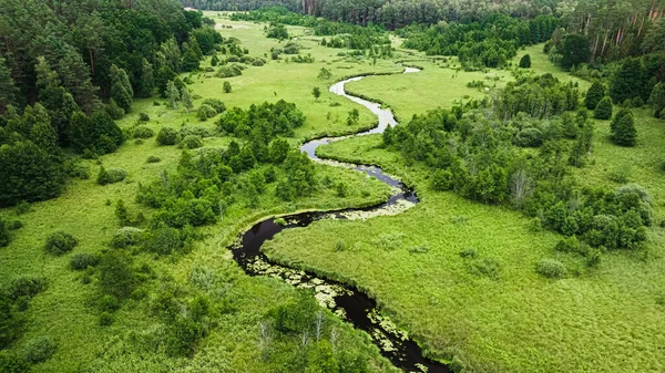 Small River Swamps Summer Aerial View Nature Poland — Fotografia de Stock