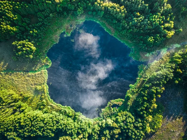 Lago Brumoso Bosque Otoño Amanecer Vista Aérea Vida Silvestre Polonia —  Fotos de Stock