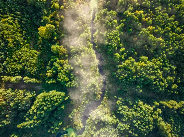 Vista Aérea Del Valle Brumoso Otoño Amanecer Vida Silvestre Polonia —  Fotos de Stock