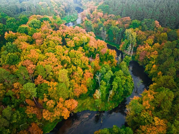 Niesamowita Rzeka Las Jesienią Widok Lotu Ptaka Natura Polsce Europie — Zdjęcie stockowe