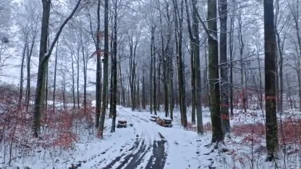 Snöig Landsväg Skogen Flygfoto Över Vilda Djur Och Växter Polen — Stockvideo