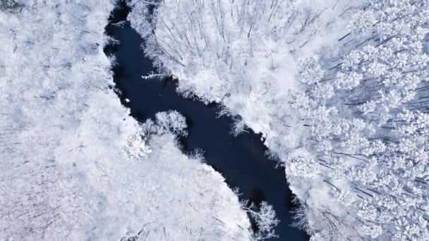 Létání Nad Zamrzlým Lesem Klikatá Řeka Zimě Polsko Evropa — Stock video