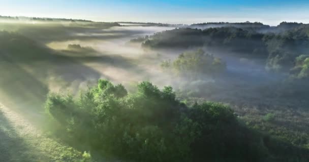 Повітряний Вид Туманної Долини Восени Світанку Дика Природа Польщі — стокове відео