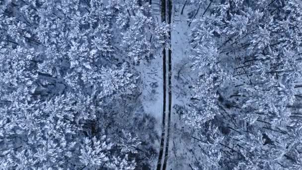 Śnieżna Zimowa Droga Lesie Podróż Śnieżnej Zimie Widok Lotu Ptaka — Wideo stockowe