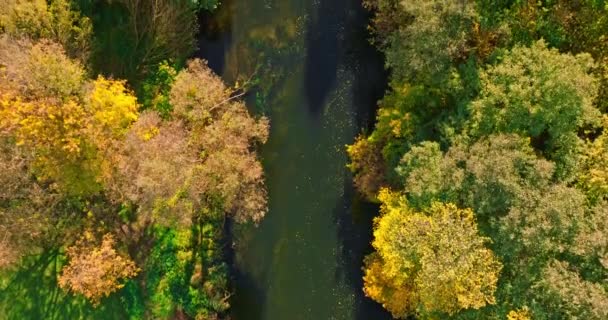 Верхний Вид Реку Брда Осенью Быдгоще Польская Золотая Осень Городе — стоковое видео