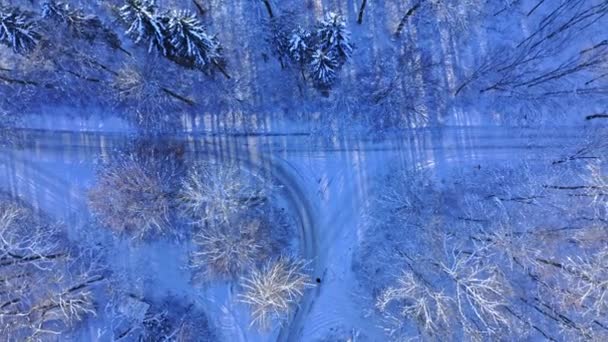 Transport Zimą Droga Śnieżnym Lesie Widok Lotu Ptaka Polskę Europę — Wideo stockowe